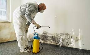 Best Industrial Mold Remediation  in Pepper Pike, OH