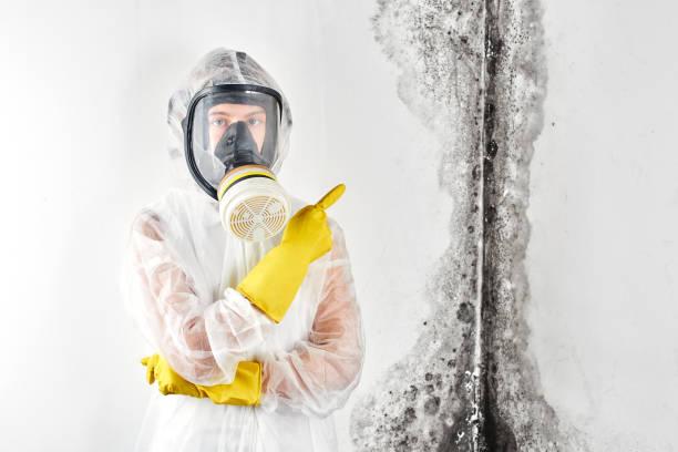 Best Commercial Mold Inspection  in Pepper Pike, OH