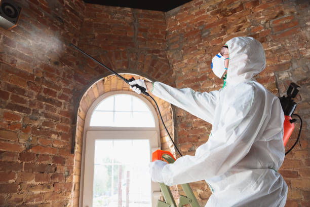 Best Environmental Consulting for Mold Prevention  in Pepper Pike, OH